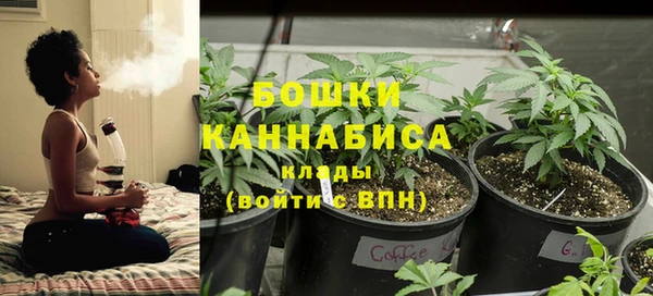 соль ск Мегион