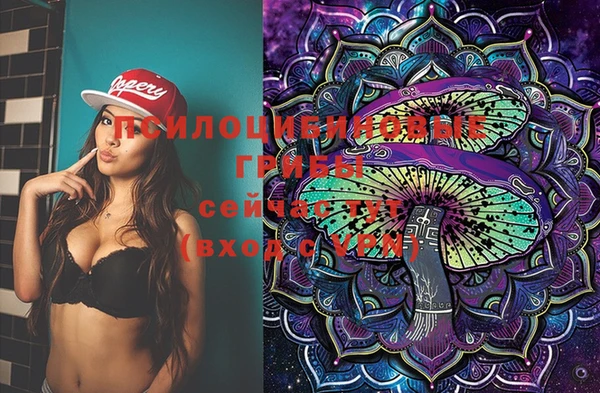 соль ск Мегион